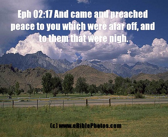 Click for Next Image