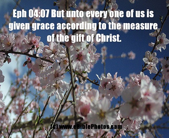 Click for Next Image