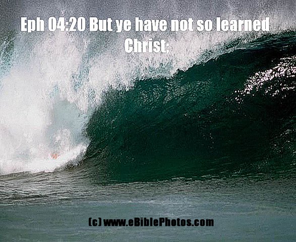 Click for Next Image