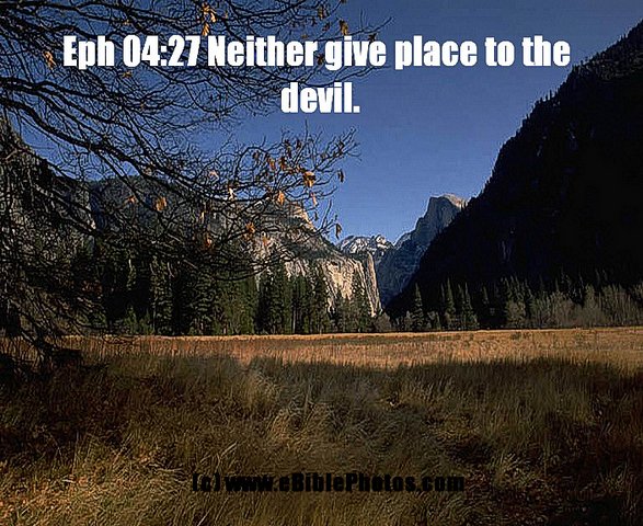 Click for Next Image