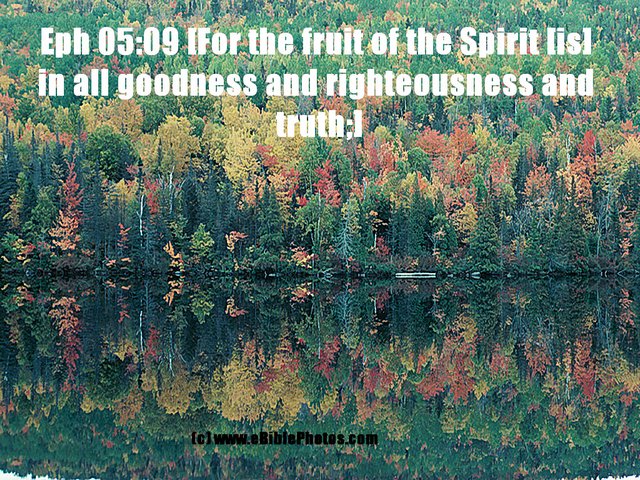 Click for Next Image